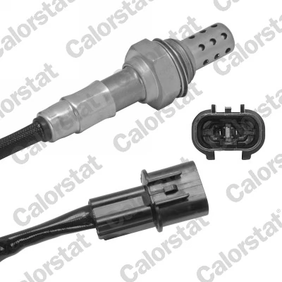 Oxygen Sensor